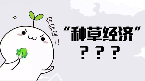 種草是什么意思？小紅書(shū)上如何種草？